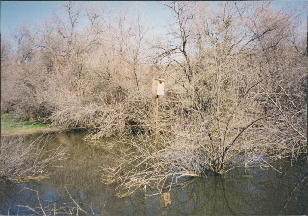DocImage000000015_zps934187aa.jpg