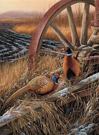 rusitc-outlook-pheasants-by-rosemary-millette-1593682019.jpg