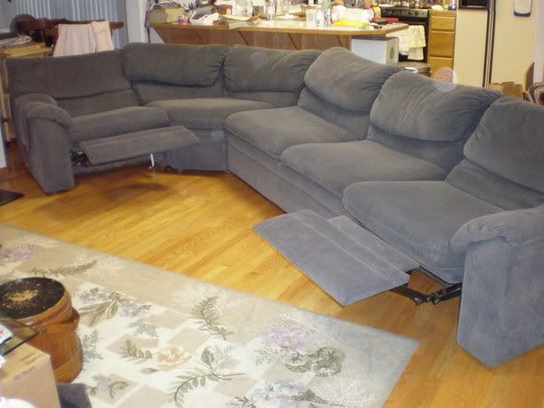 eco sectional sleeper and sofa