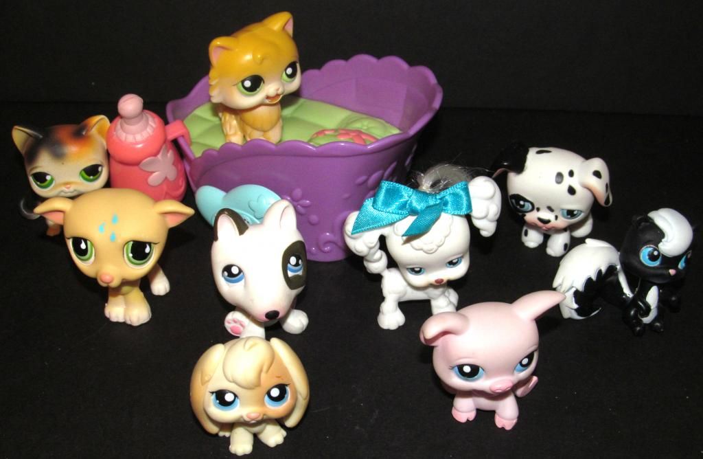 lps diary cat