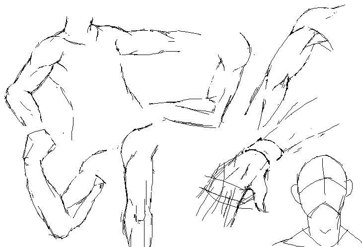 [Image: armstudy-1.png]