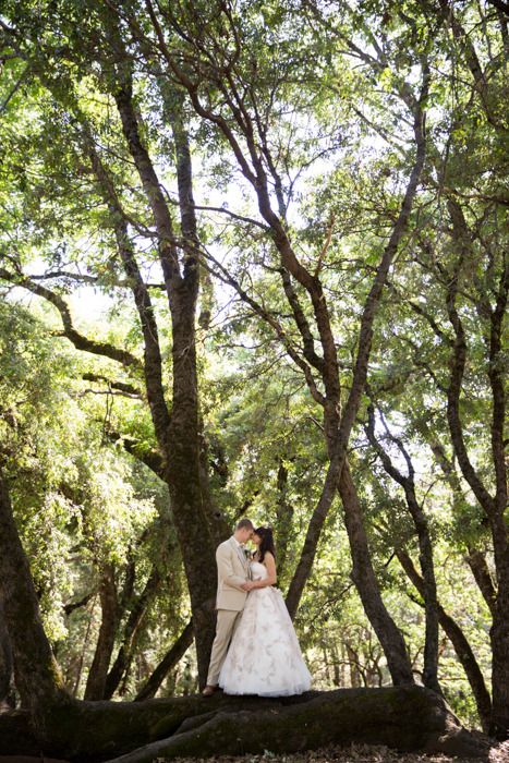  photo grass-valley-california-wedding-evangeline-renee-photo-0938_zpspcmdalbk.jpg