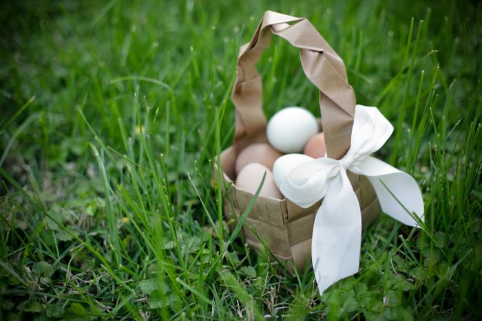  easter diy basket photo evangelinerenee-7651_zpsb97b2635.jpg