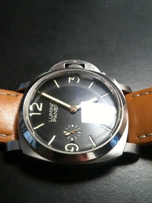 pam127.jpg