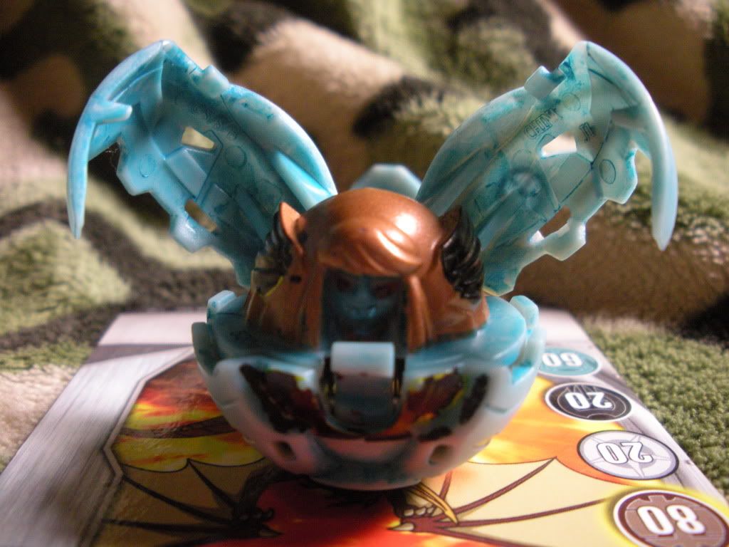 DSCN0584.jpg