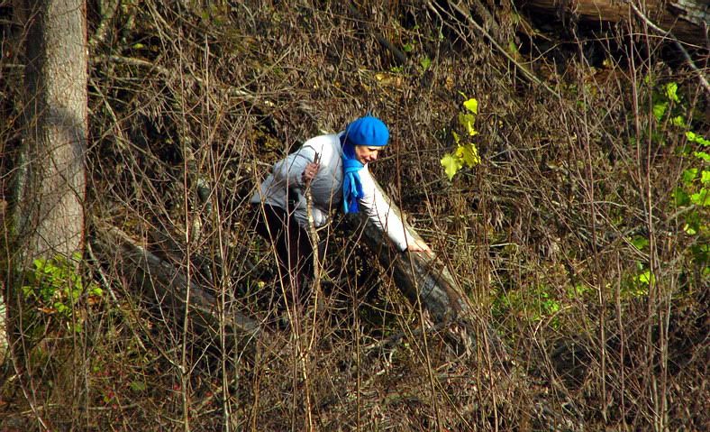 В, вокруг и около Цесиса Photobucket