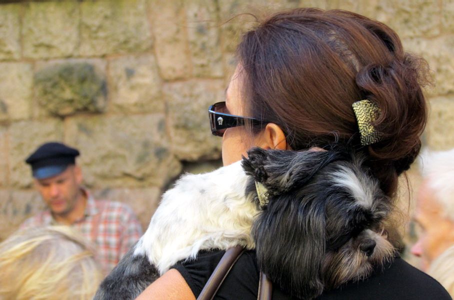 Рижские хроники. День города. Photobucket