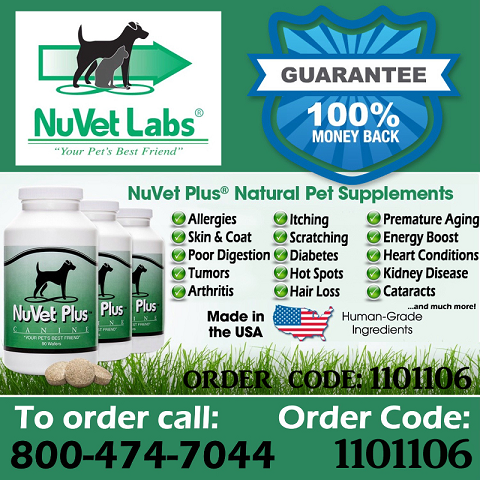 Nuvet-dog-vitamins%20copy%2060percent_zps37tvmkds.png