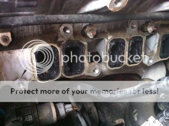 Ford transit connect egr blanking #7