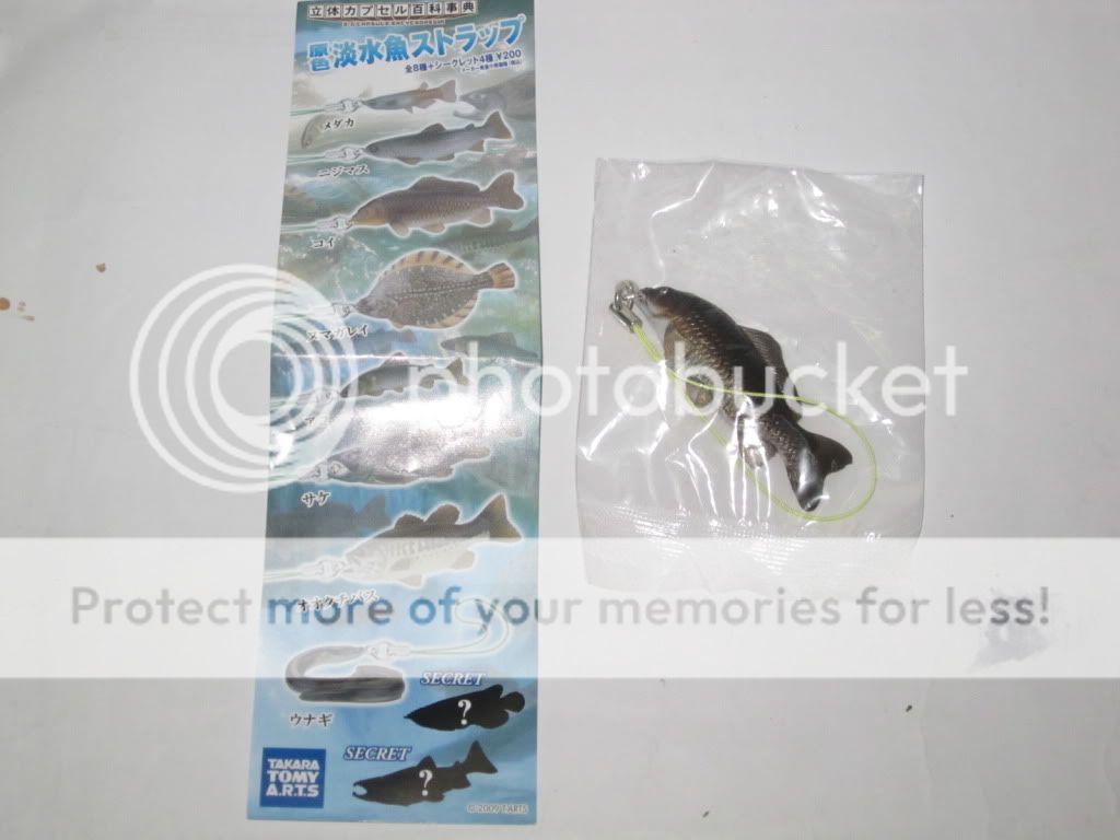 Item name  TAKARA TOMY Yujin fish Keychain Cyprinus carpio