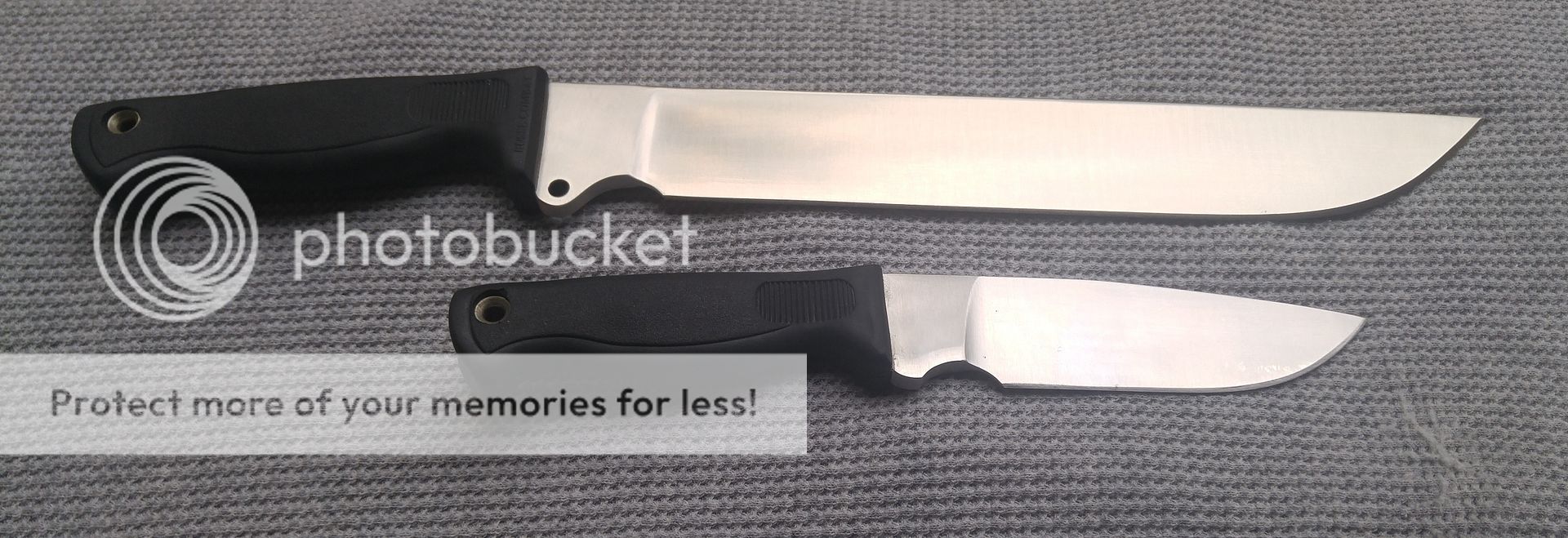 busse%20duoback.jpg